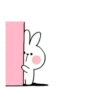 Spoiled rabbit small 14