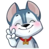 Archie the Dog 17