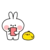 Spoiled rabbit small 15