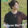 Excuse Me???