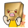 Box Head 27