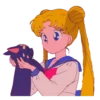 Sailor Moon 27