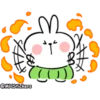 Spoiled rabbit summer 17