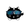 Lovely black cat 20