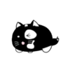 Lovely black cat 21