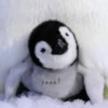 Athéna's Pinguin 13