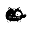 Lovely black cat 23