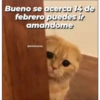 Michis 4 19