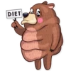 Honey Bear 28