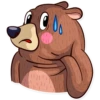 Honey Bear 30