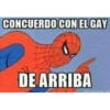 Miau 11