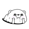 Bear 100% 6