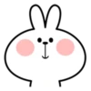 Spoiled Rabbit Facial Expression 5