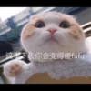 这下去你会变得傻fufu