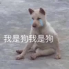 我是狗我是狗