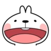 Spoiled Rabbit Facial Expression 6