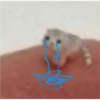 Cat Cry 9