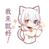 white kitten girl polite every day 8