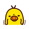 Duck 8