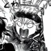 Black Clover 13
