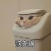 脑壳痛