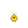 Duck 10