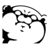 Bear 100% 12
