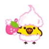 Duck 11