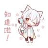 white kitten girl polite every day 12