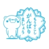 Bear 100% 14