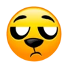 Mikecrack 2021 14