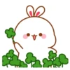 baby bunny 13