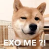 EXO ME ?!