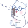 Bear Bq 13