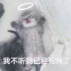 C
我不听我已经死掉了