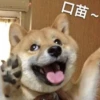口苗~