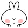 Spoiled Rabbit Facial Expression 15