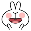 Spoiled Rabbit Facial Expression 16