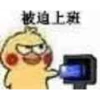 Chicken 15