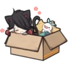 Black Kitten 20