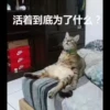 活着到底为了什么?