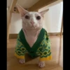 Skinnycat 8