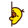 Duck 12