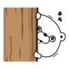 Bear 100% 17