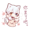 white kitten girl polite every day 16