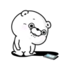 Bear 100% 18