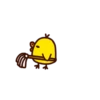 Duck 13