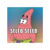 stiker patrick 15