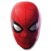 Spiderman Back 8
