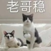 老哥稳